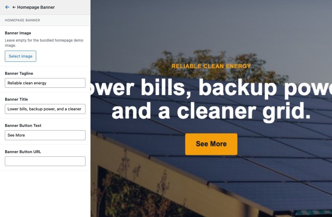 Customizer Homepage Banner settings
