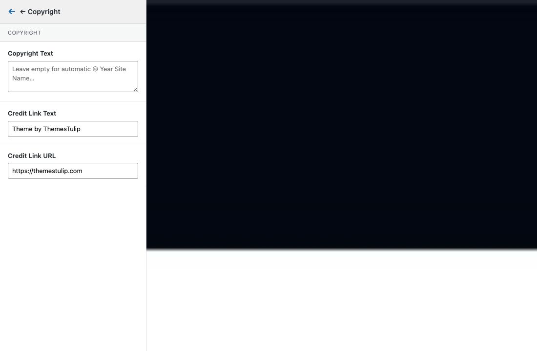 Customizer Copyright settings