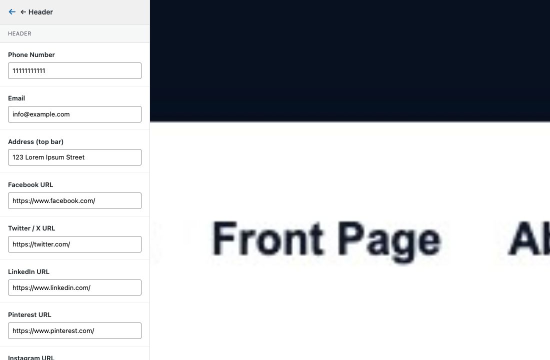 Customizer Header settings