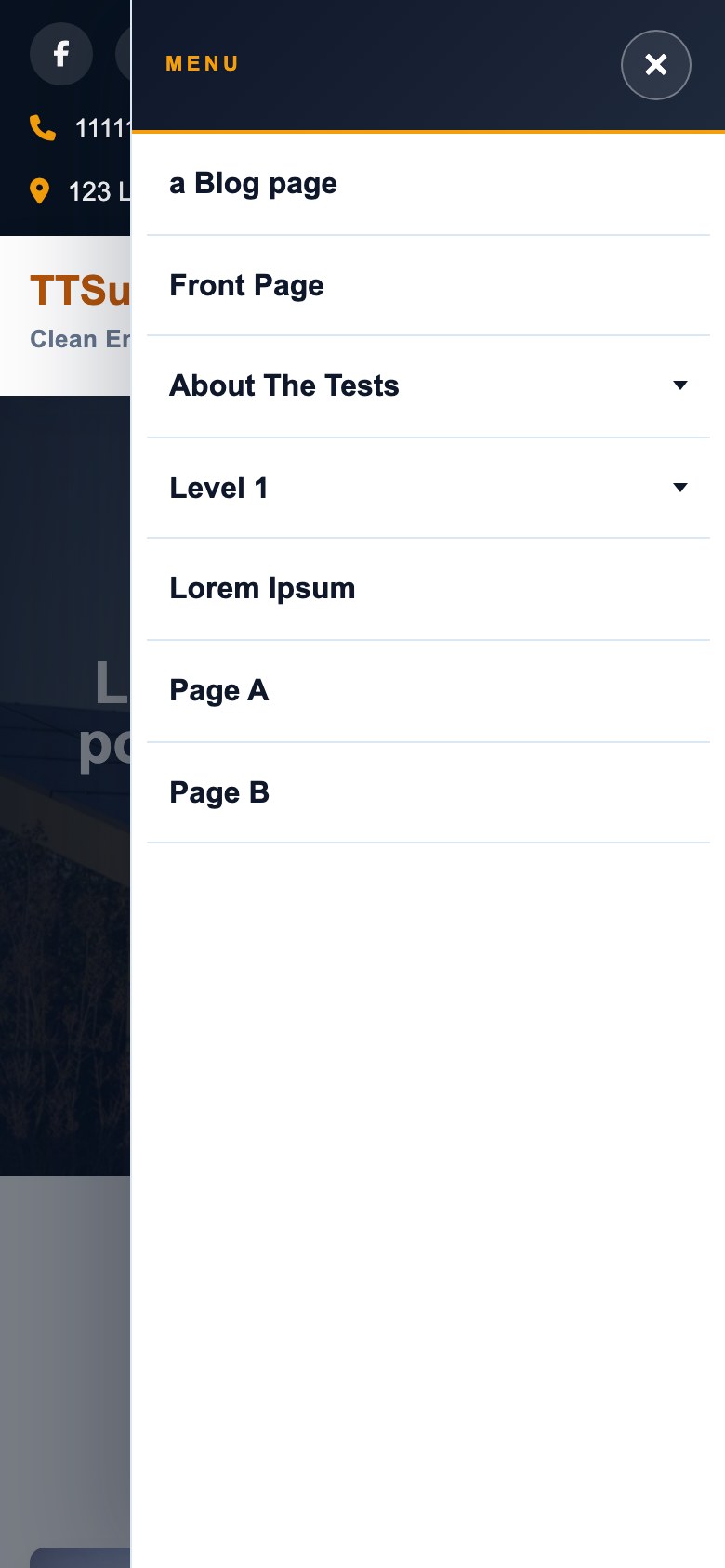 Mobile menu drawer open